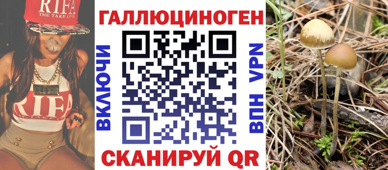 сайты даркнета телеграм  Кольчугино  Псилоцибиновые грибы Psilocybine cubensis 